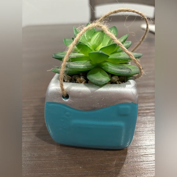 Blue Retro Camera with Fake Succulent Hanging Decor - Picture 3 of 7